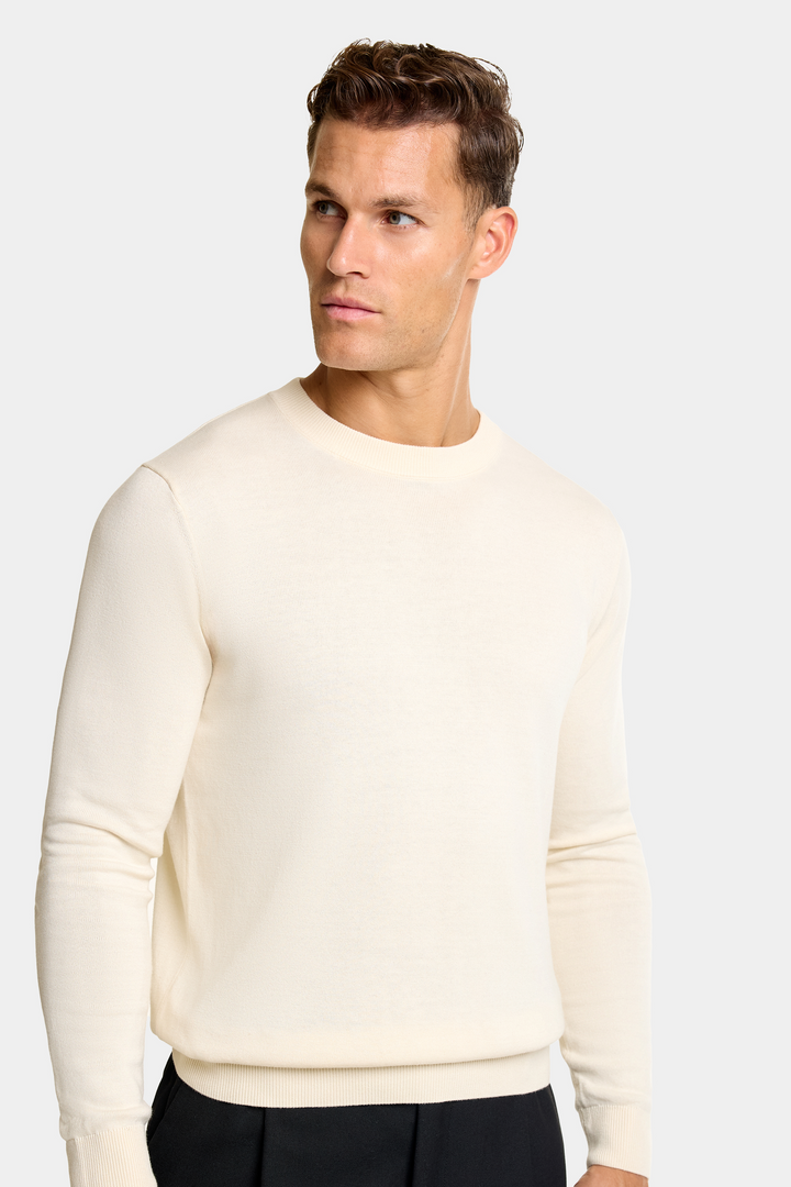 THE SANTONI CREWNECK SWEATER